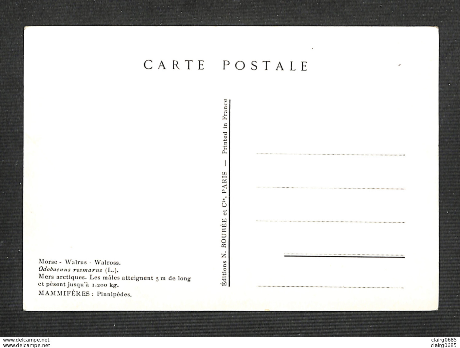 CANADA - QUÉBEC - Carte Maximum 1954 - Morse - Tarjetas – Máxima