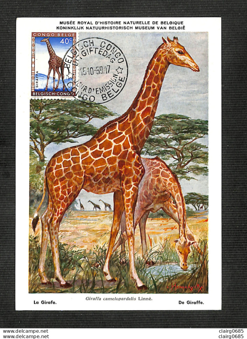 CONGO BELGE - BELGISCH CONGO - Carte MAXIMUM 1959 - La Girafe - Other & Unclassified