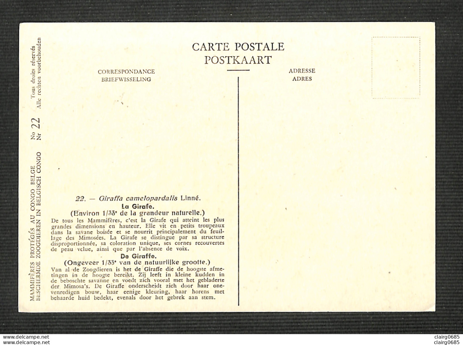 CONGO BELGE - BELGISCH CONGO - Carte MAXIMUM 1959 - La Girafe - Other & Unclassified