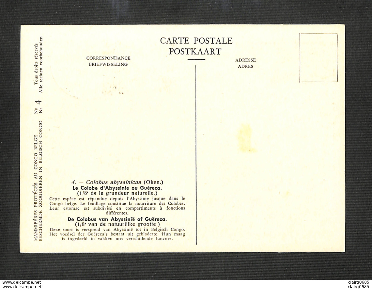 CONGO BELGE - BELGISCH CONGO - Carte MAXIMUM 1959 - Le Colobe D'Abyssinie Ou Guéreza - Sonstige & Ohne Zuordnung