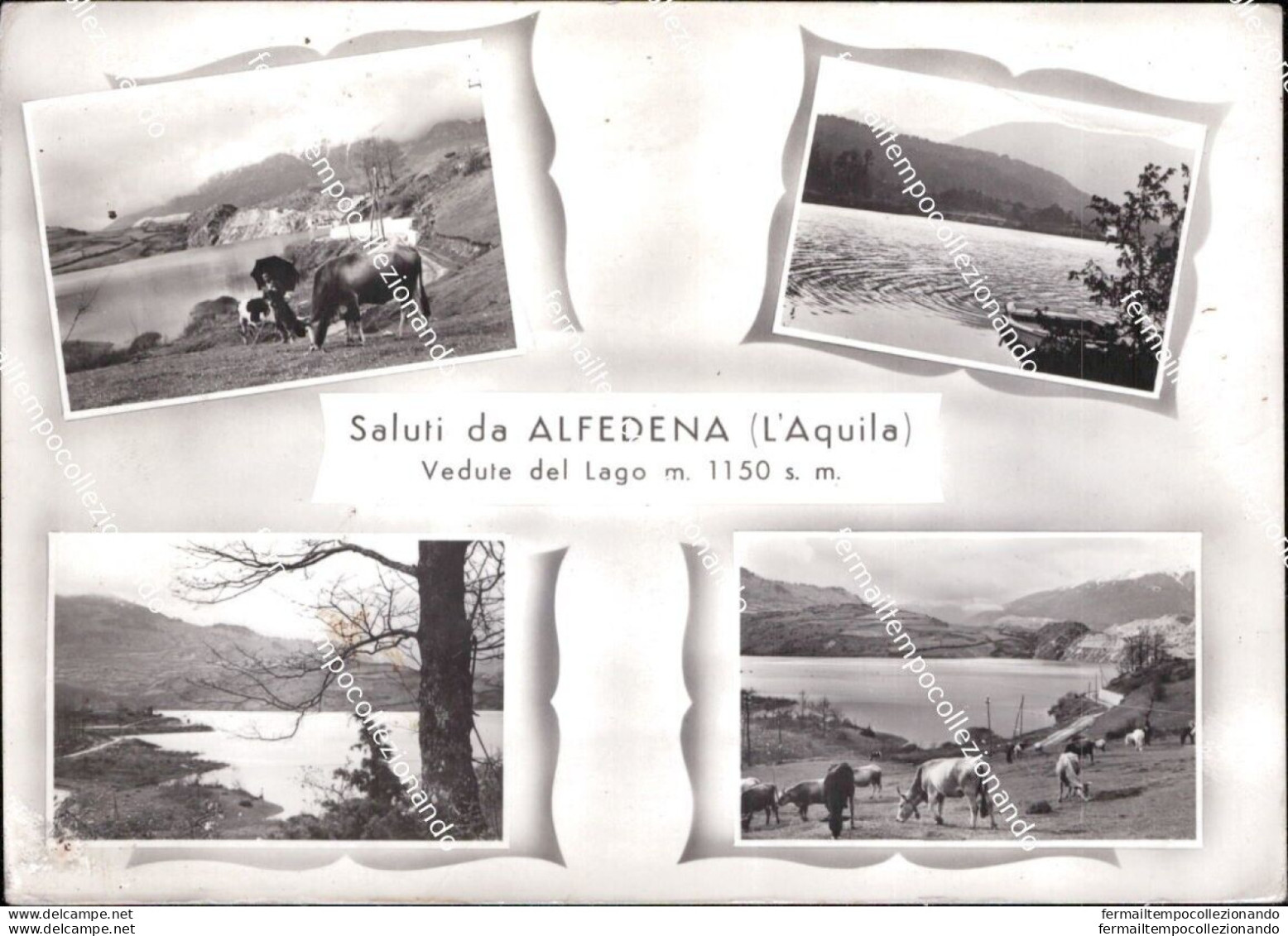 Cd644 Cartolina Saluti Da Alfedena Vedute Del Lago Provincia Di L'aquila Abruzzo - L'Aquila