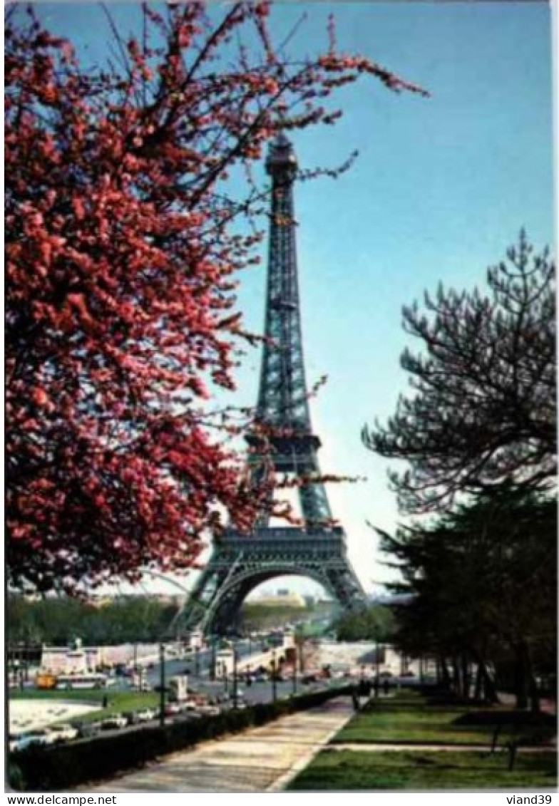 PARIS. -  La Tour Eiffel.      Non Circulée. - Brücken