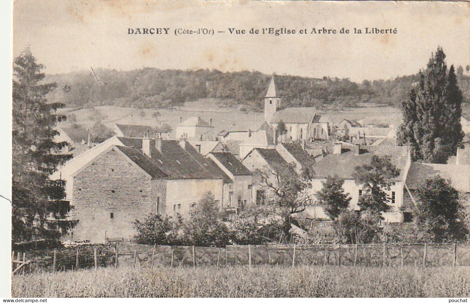 PE 21-(21) DARCEY - VUE DE L' EGLISE ET ARBRE DE LA LIBERTE  - 2 SCANS - Sonstige & Ohne Zuordnung