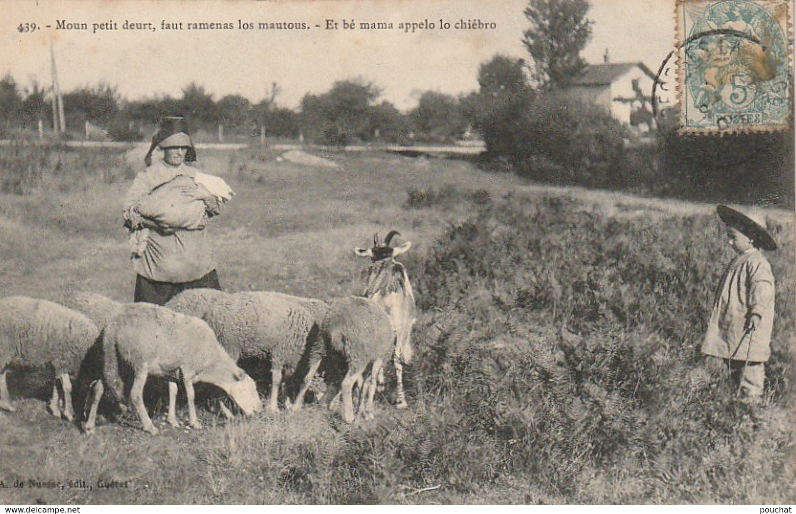 PE 24 -(23) " MOUN PETIT DEURT ... LO CHIEBRO " - TROUPEAU DE MOUTONS ET JEUNE BERGER - 2 SCANS - Veeteelt