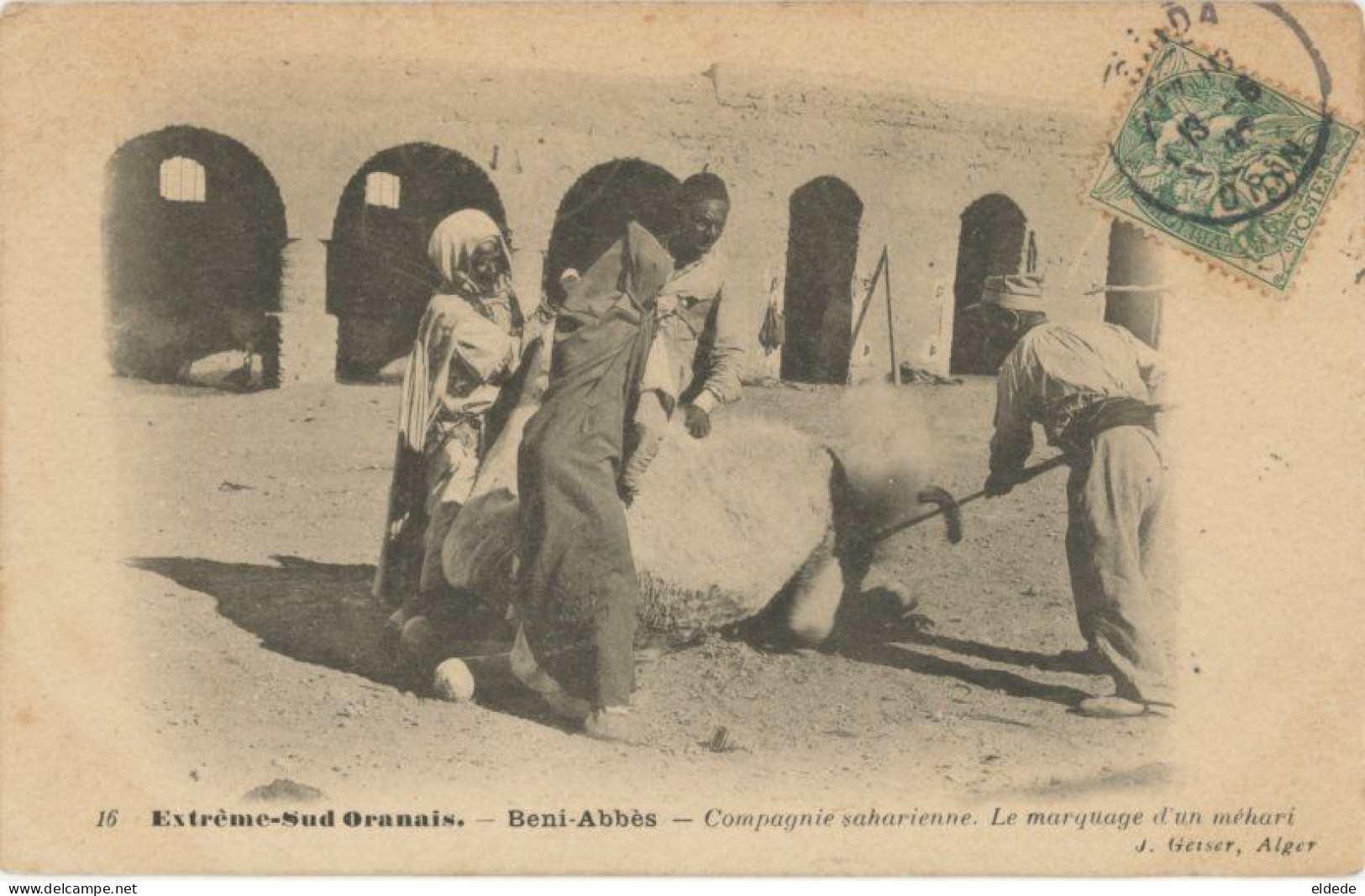 Mehari Troupes Sahariennes Sahara Beni Abbès Marquage Chameau Fer Rouge Red Hot Branding Camel - Regiments