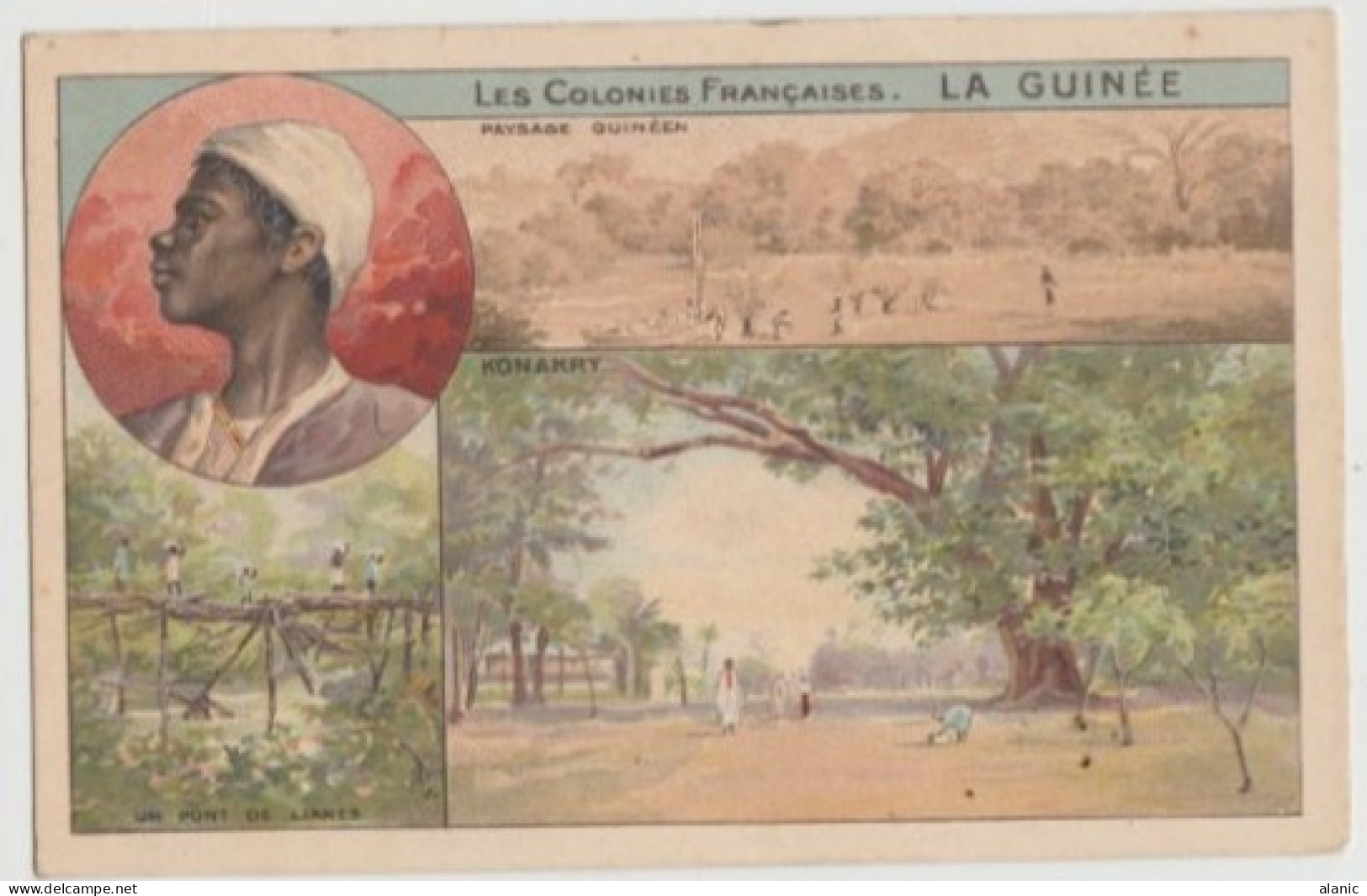 CPA-Divisée-LES COLONIES FRANCAISES - LA GUINÉE - Paysage Guinéen - KONAKRY -Circulée-pour La France -1905 - Guinee