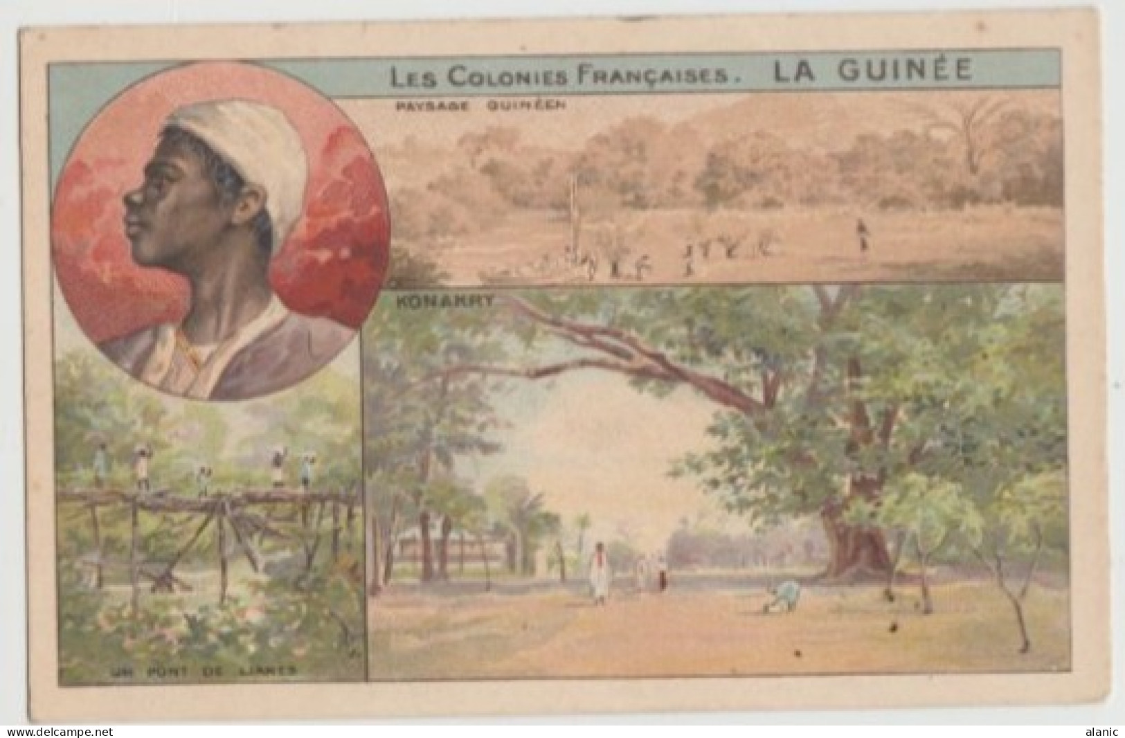 CPA-Divisée-LES COLONIES FRANCAISES - LA GUINÉE - Paysage Guinéen - KONAKRY -Circulée-pour La France -1905 - Guinea