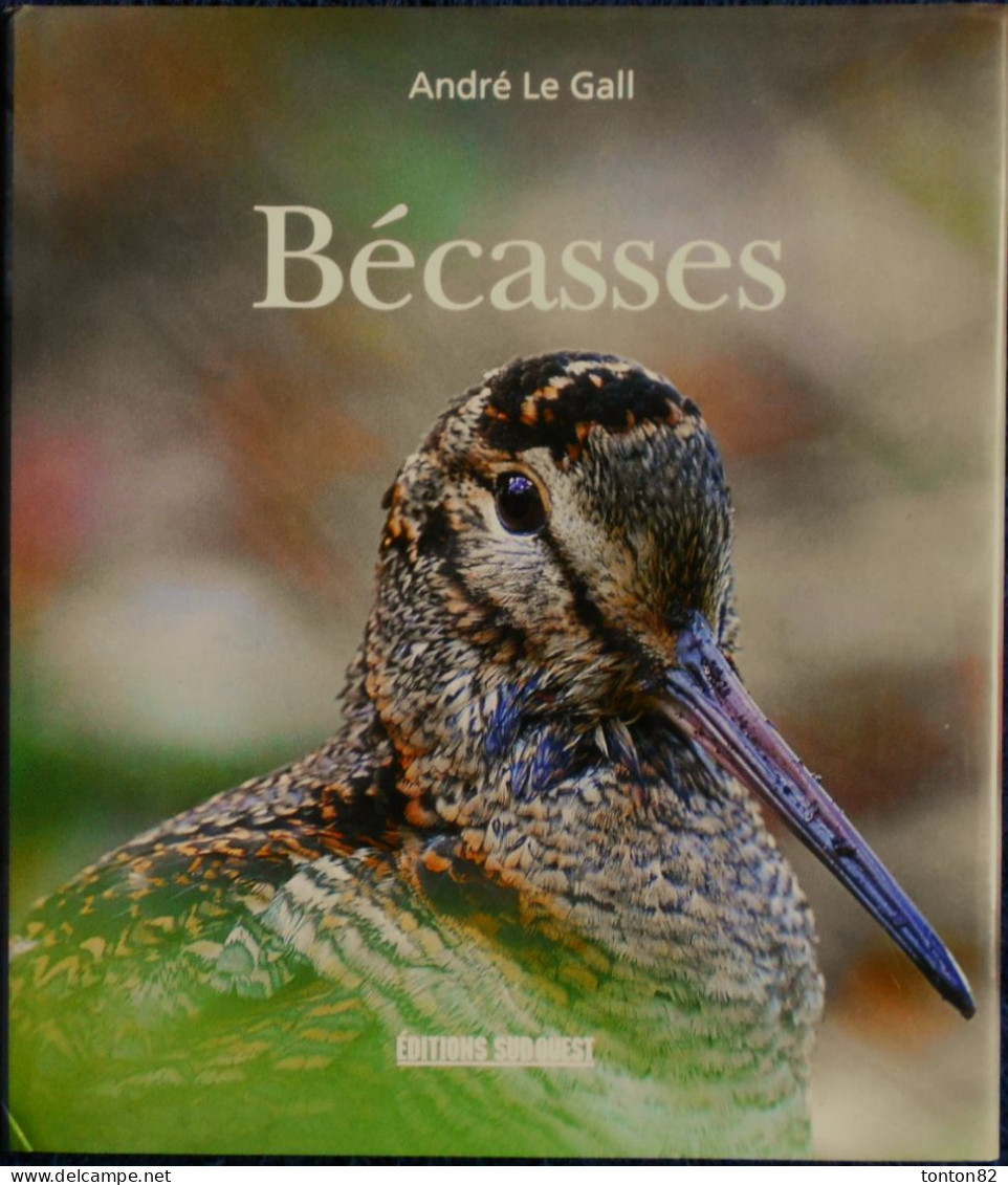 André Le Gall - BÉCASSES - Éditions SUD-OUEST- ( 2003 ) . - Caccia/Pesca