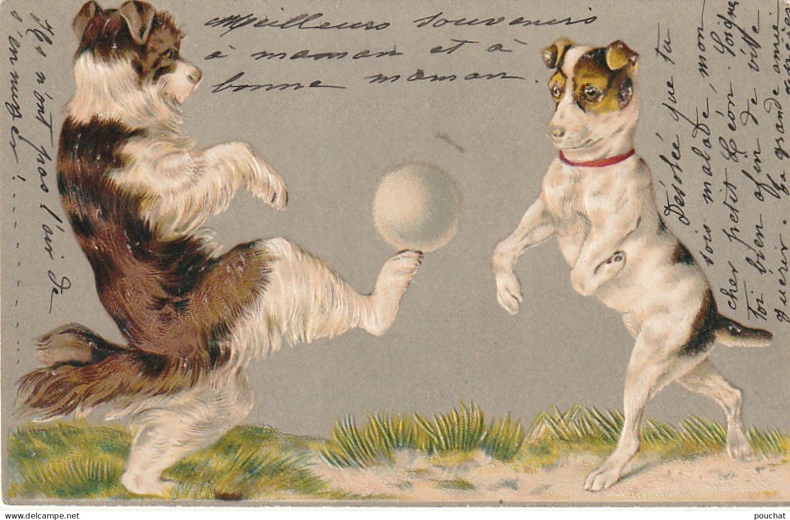OP Nw36- CHIENS , CHIOTS JOUANT AU FOOTBALL - ILLUSTRATEUR - CARTE GAUFREE - Dogs