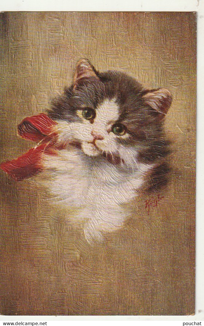 OP Nw36- PORTRAIT DE CHATON - ILLUSTRATEUR KOGL - Cats