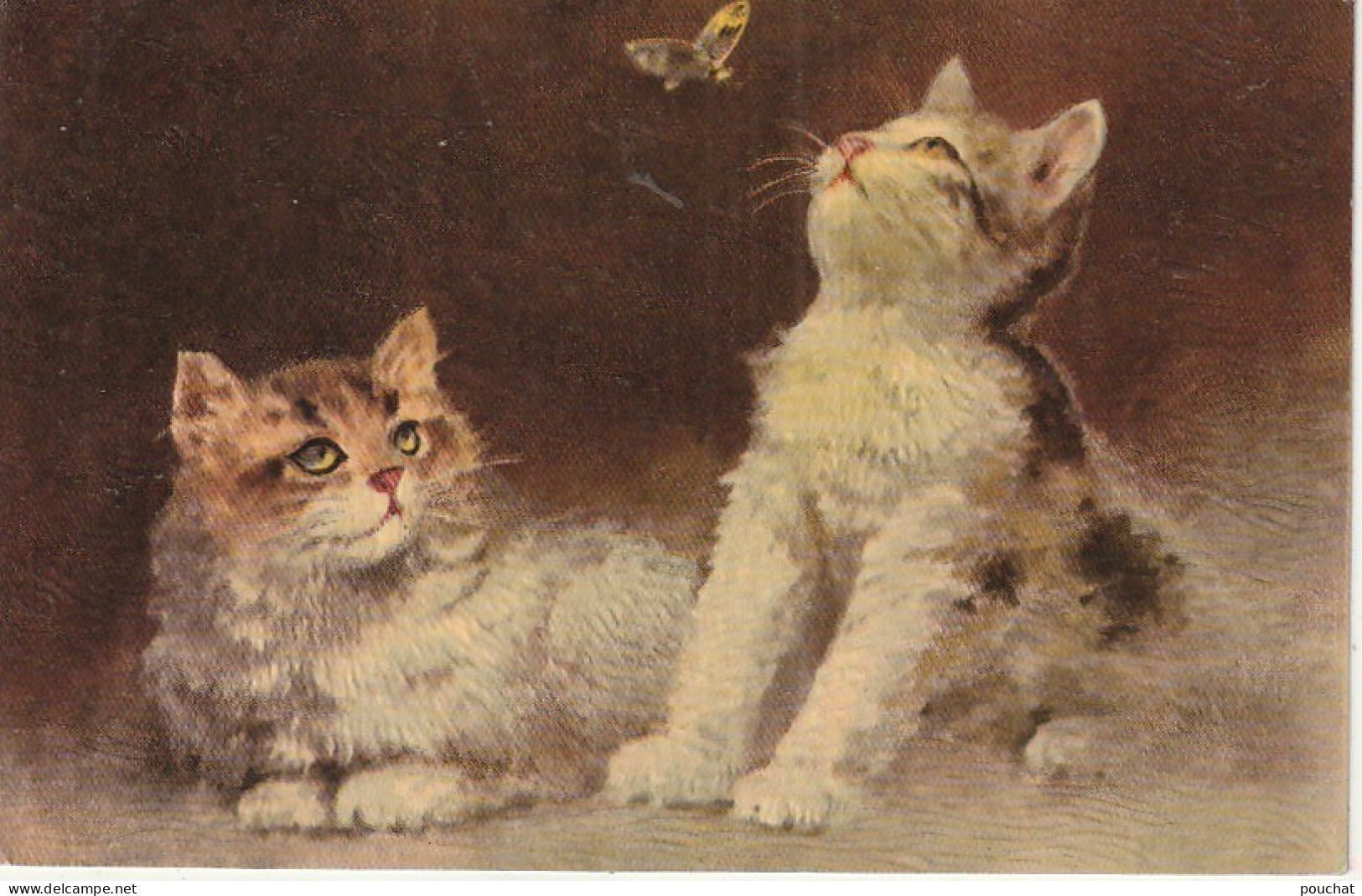 OP Nw36- COUPLE DE CHATS , CHATONS AVEC PAPILLON - ILLUSTRATEUR - CARTE GAUFREE - Cats