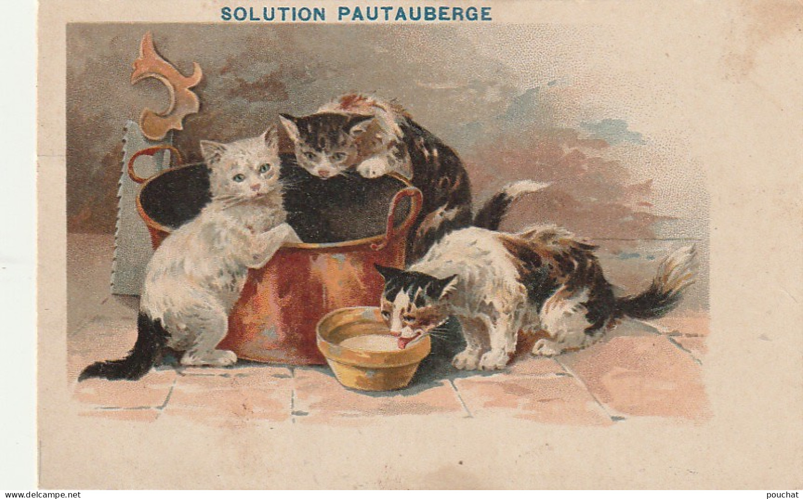 OP Nw36- TRIO DE  CHATONS AVEC BASSINE EN CUIVRE ET BOL DE LAIT - ILLUSTRATEUR - CARTE PUBLICITAIRE SOLUTION PAUTAUBERGE - Cats