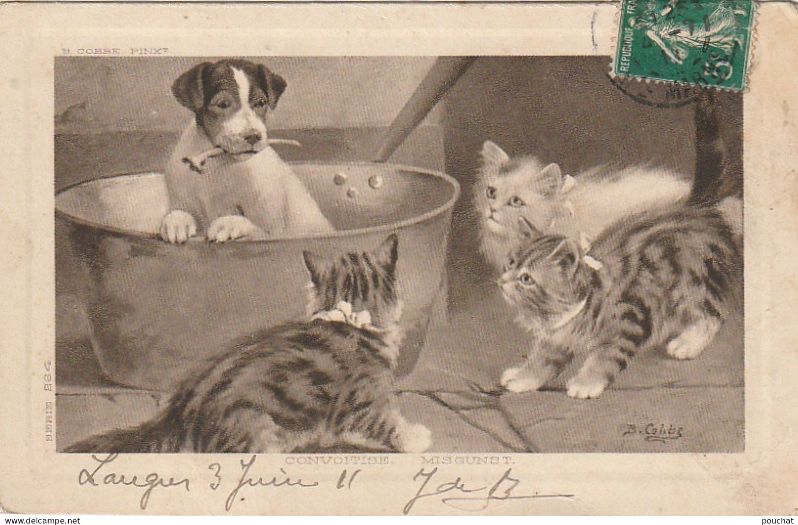 OP Nw36- TRIO DE CHATONS ET CHIOT AVEC OS - ILLUSTRATEUR COBBE - Sonstige & Ohne Zuordnung