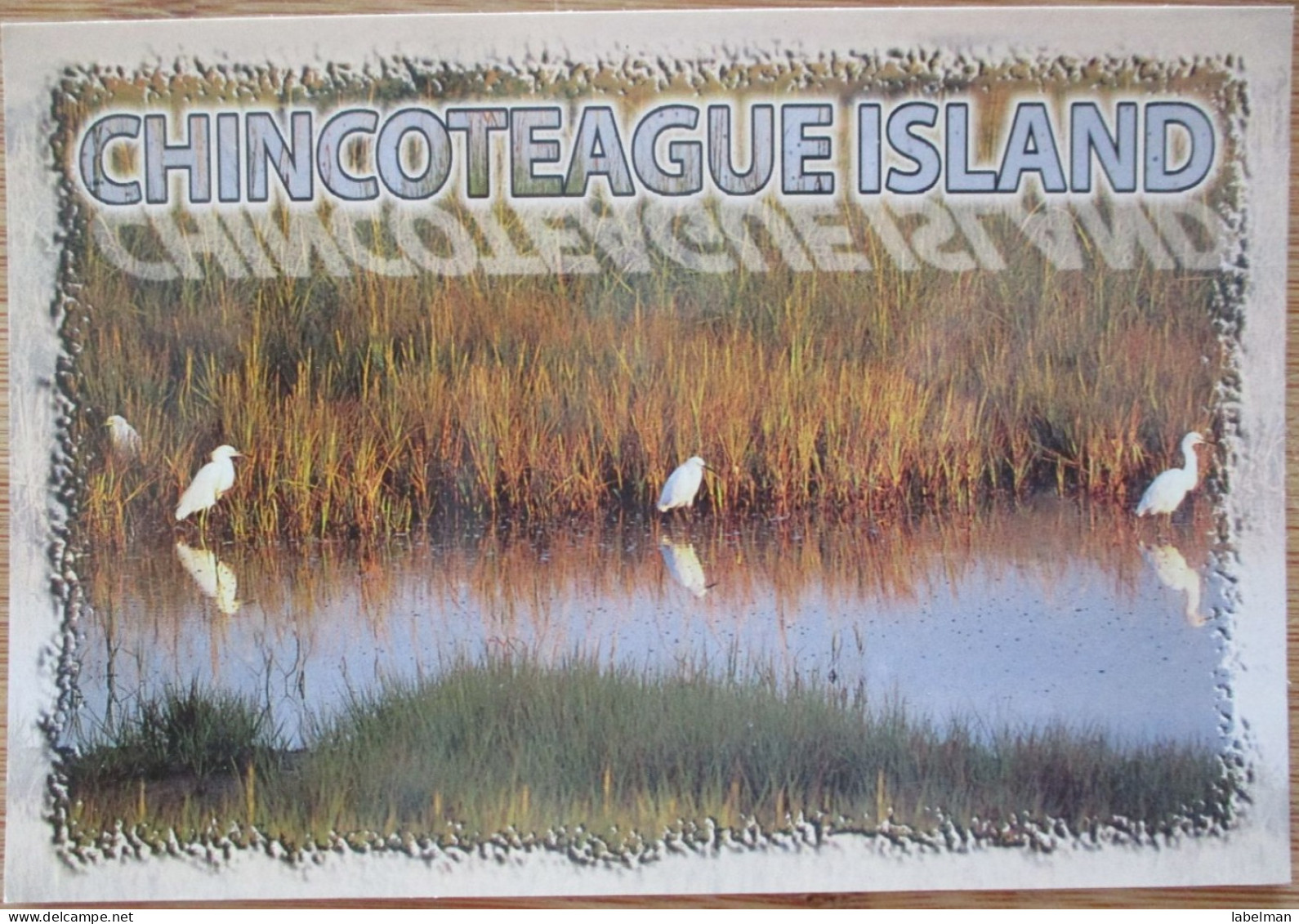 CANADA VA CHINCOTEAGUE ISLAND BIRDS PARADISE POSTCARD CARD CARTE POSTALE ANSICHTSKARTE POSTKARTE CARTOLINA - Granby