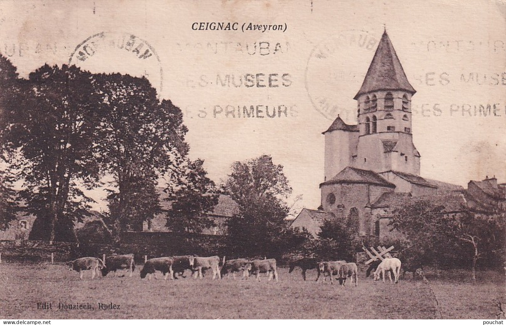 MO 28-(12) CEIGNAC - L'EGLISE - TROUPEAU DE VACHES AUX PATURAGES ET CHEVAUX - Sonstige & Ohne Zuordnung