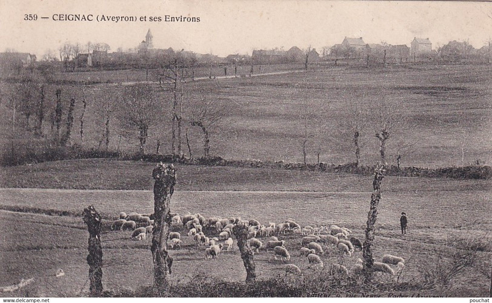 MO 28-(12) CEIGNAC ET SES ENVIRONS - BERGER ET TROUPEAU DE MOUTONS - Other & Unclassified