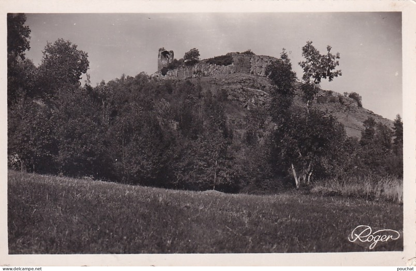 MO 31-(15) NEUSSARGUES - CHATEAU DE MERDOGNE - Sonstige & Ohne Zuordnung