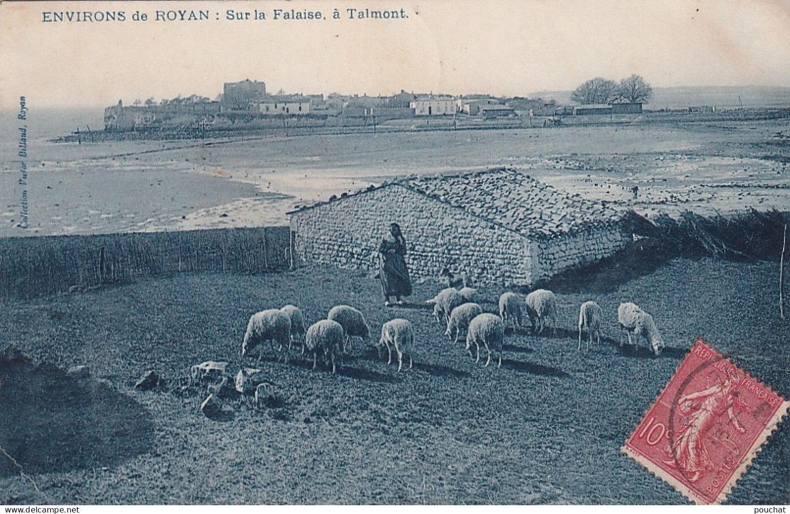 NE 28-(17) ENVIRONS DE ROYAN : SUR LA FALAISE A TALMONT - ANIMATION - BERGERE ET TROUPEAU DE MOUTONS - Other & Unclassified