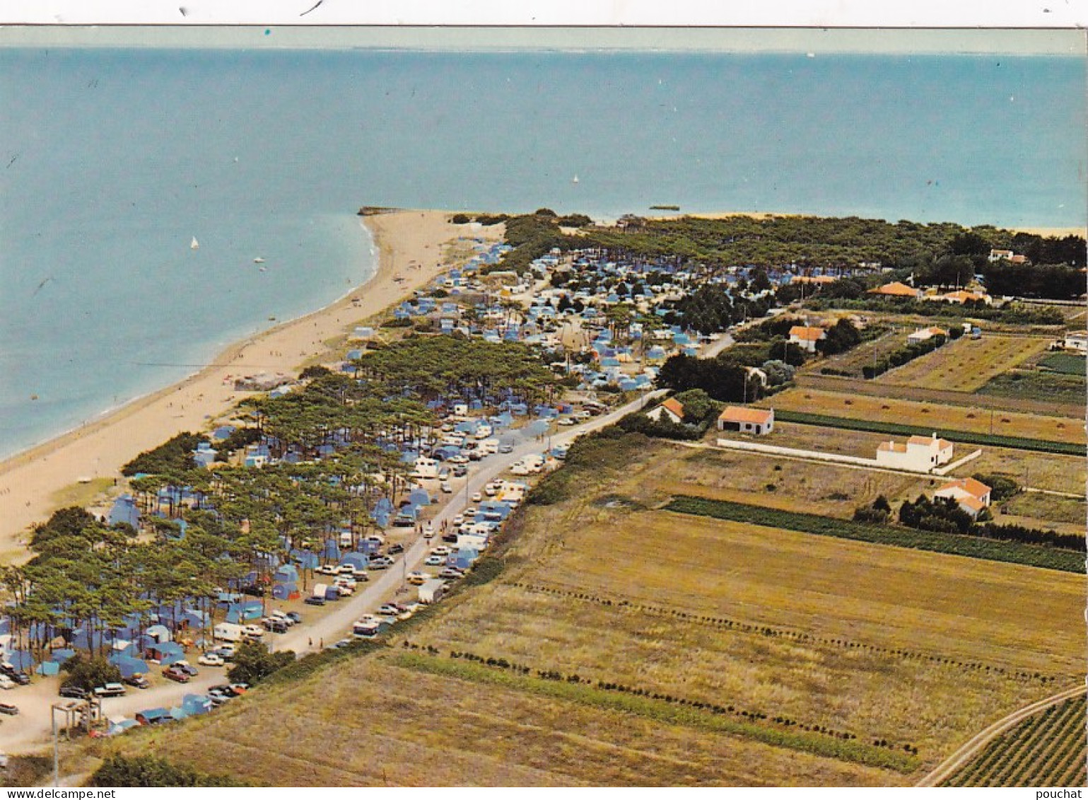 NE 29-(17) ILE D'OLERON - LE CAMPING MUNICIPAL DE ST DENIS D'OLERON - VUE AERIENNE - Ile D'Oléron