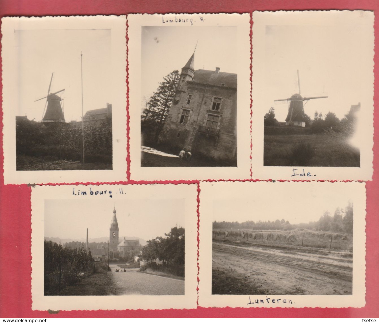 Limbourg - 5 Foto's Van Plaatsen In Limburg - Augustus 1950 - Autres & Non Classés