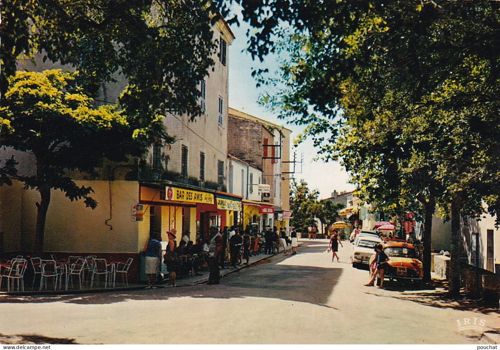 OP 41-(20) CARGESE - L'AVENUE CENTRALE - ANIMATION - BAR DES AMIS - AUTOMOBILES  - Sonstige & Ohne Zuordnung