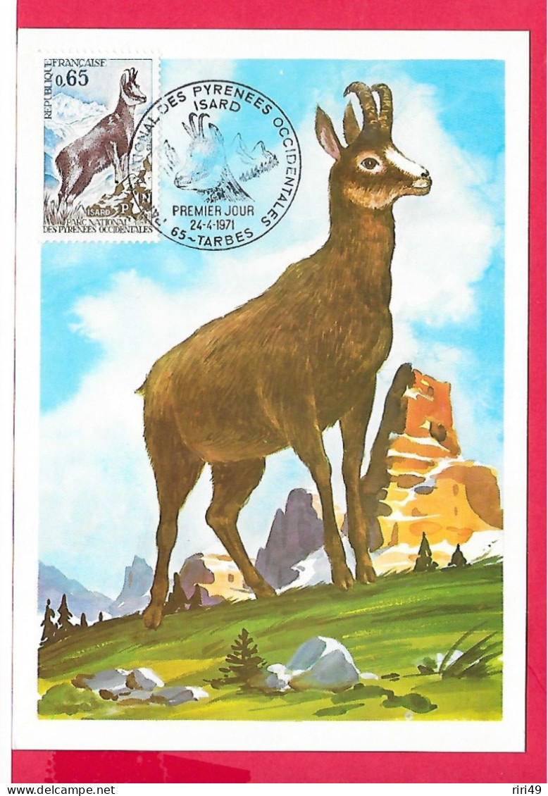 Carte Premier Jour 1971, L'Isard, Protection De La Nature, Carte Maximum VOIR SCANNE, Animal, Animaux, Montagne - 1970-1979