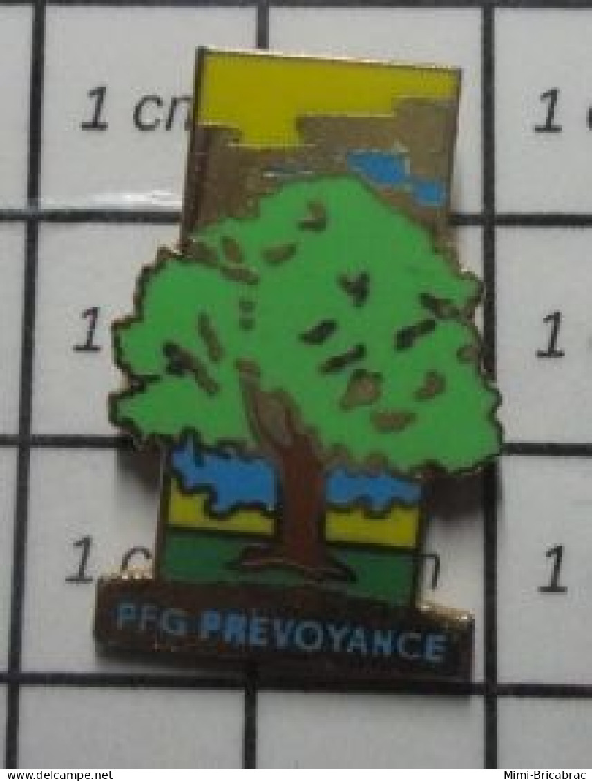3617 Pin's Pins / Beau Et Rare / MARQUES / ARBRE VERT CHENE PFG PREVOYANCE - Trademarks