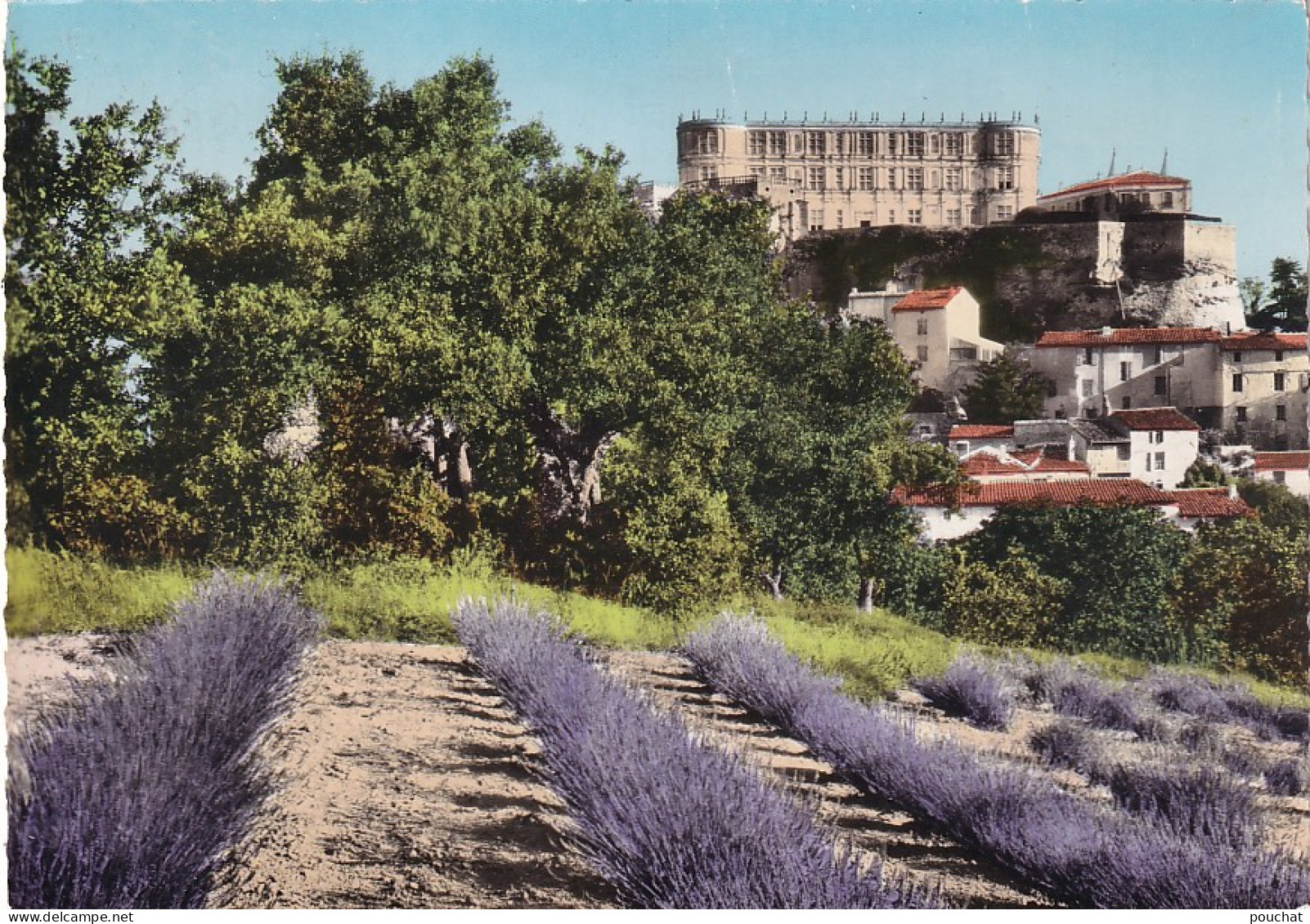 PE 28-(26) GRIGNAN - LE CHATEAU ( XVI / XVIIe ) - LAVANDE - Grignan