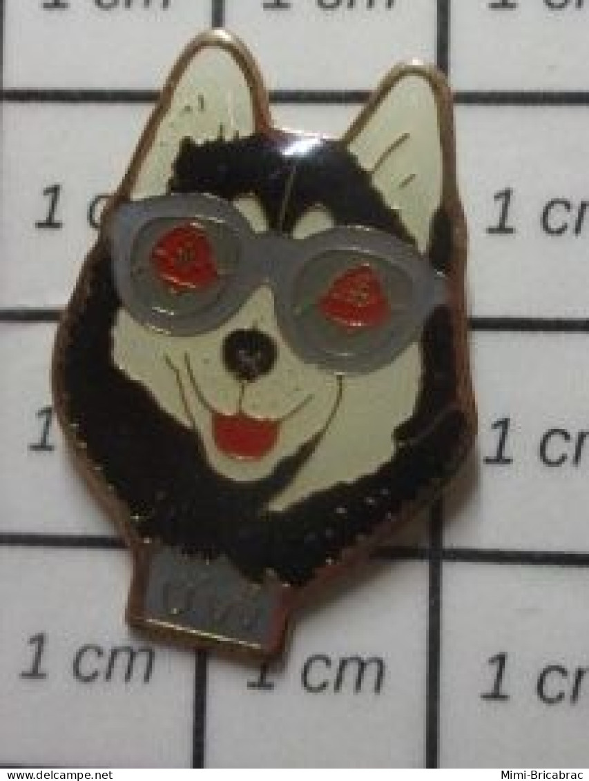 3617 Pin's Pins / Beau Et Rare / ANIMAUX / CHIEN DE TRAINEAU AVEC LUNETTES DE SOLEIL - Animals