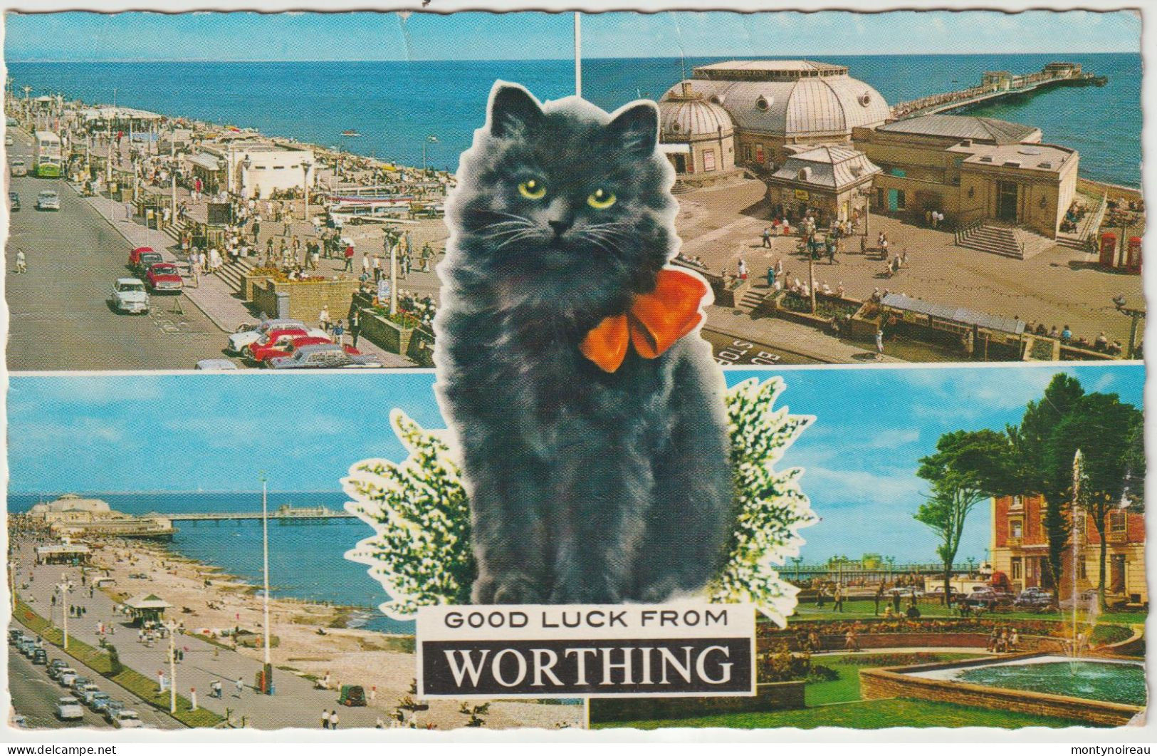 Royaume  Uni  :   Good  Luck  From  Worthing , Chat  : Vues - Autres & Non Classés