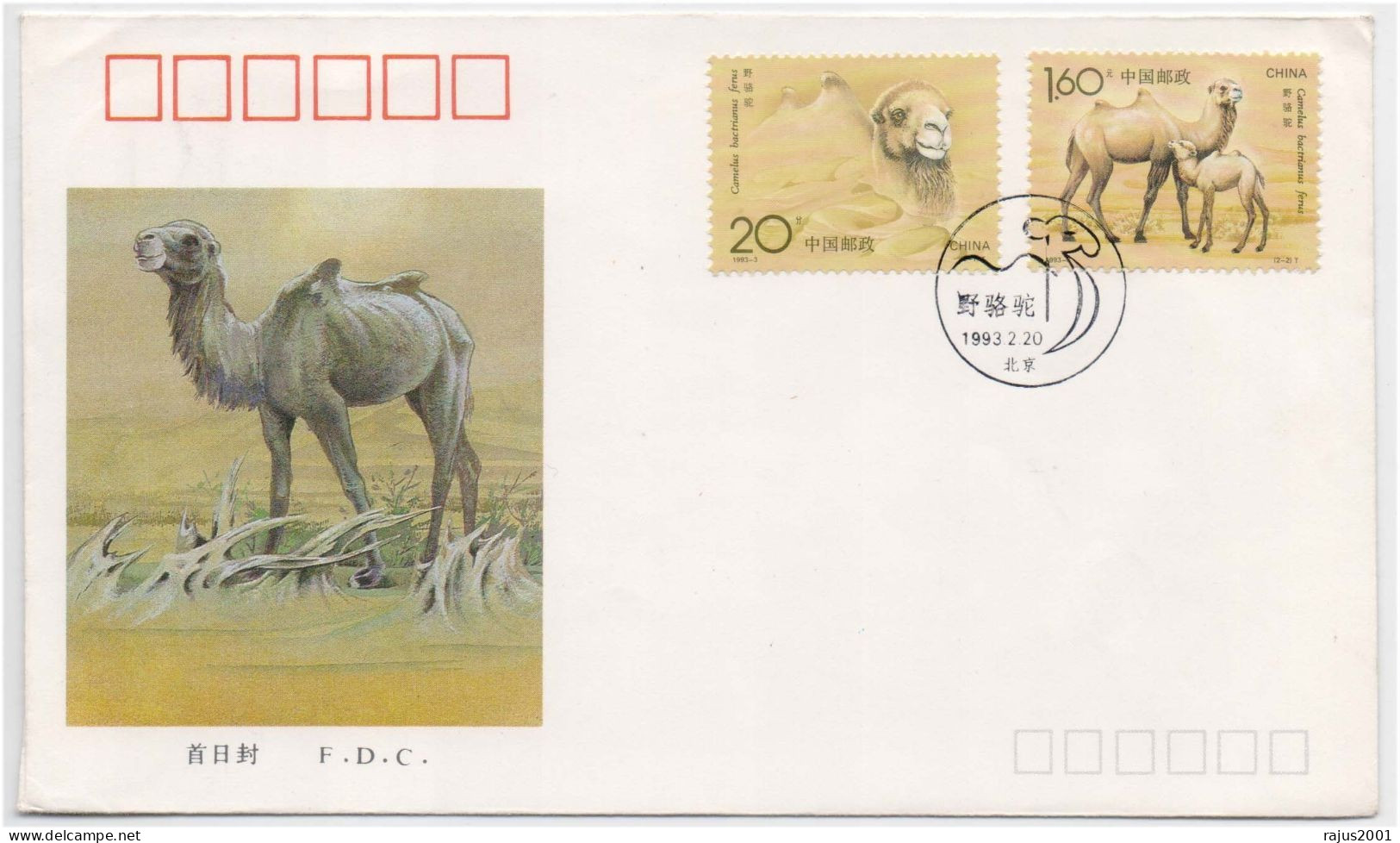 Wild Bactrian Camel, Mongolian Camel, Two Humps On Its Back, Endangered Species Of Camel, Wild Animal, Special Stamp FDC - Otros & Sin Clasificación