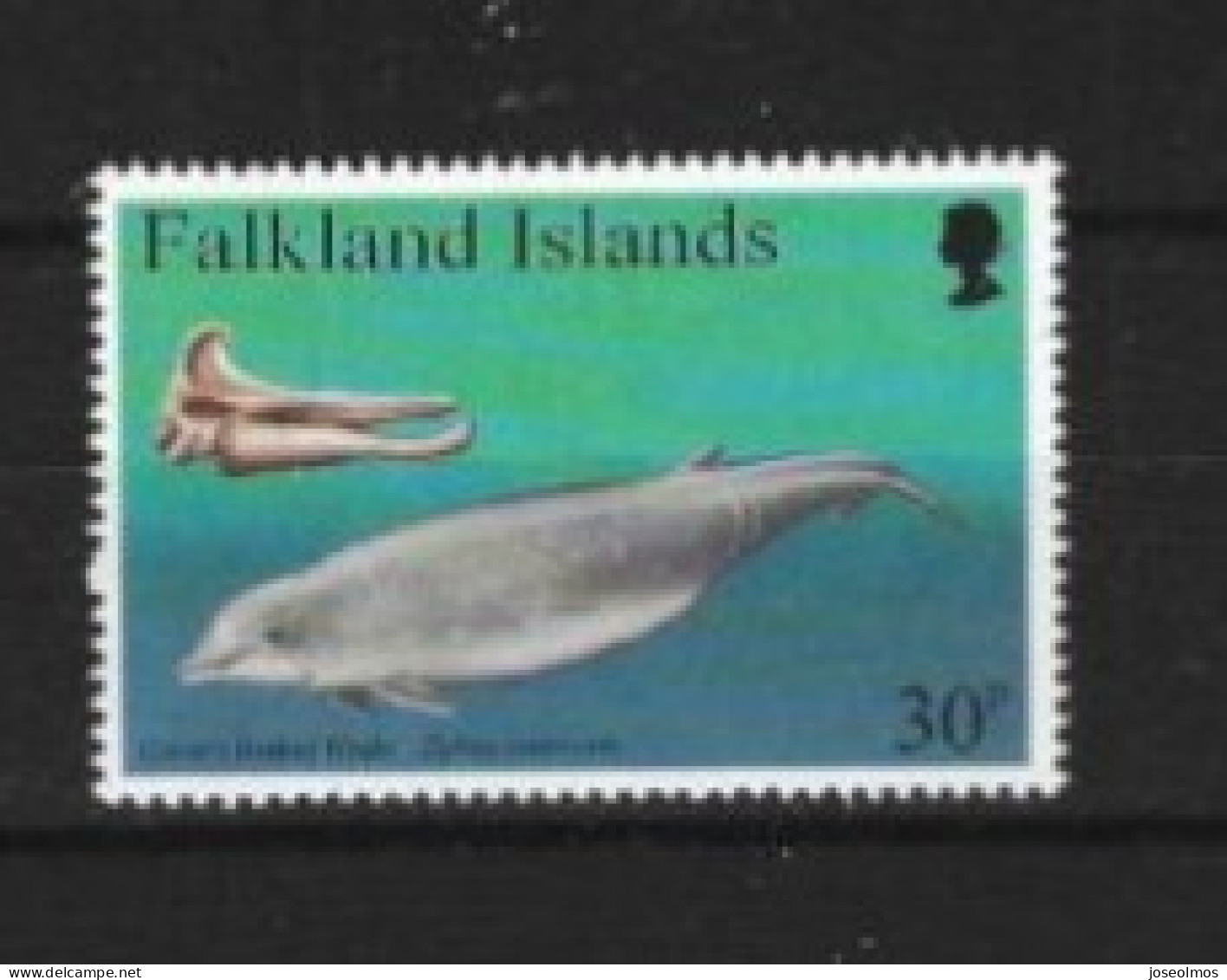 TIMBRES ANNEE 1996 N°685-688 NEUF** Y&T 4VLS - Falklandinseln