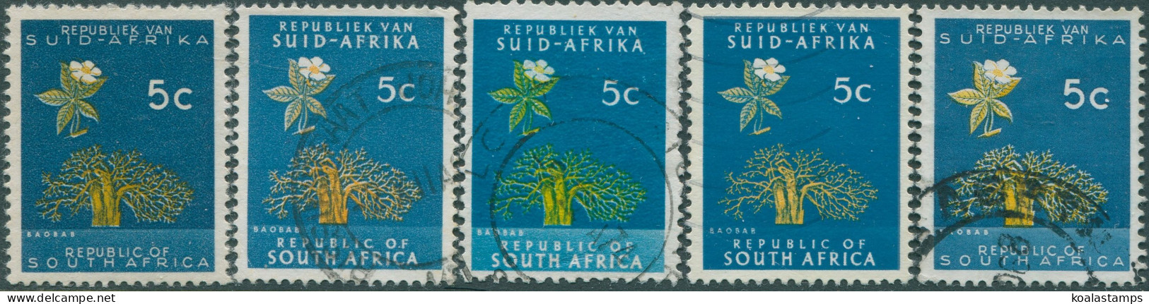 South Africa 1961 SG204 5c Baobab Both Forms And Shades (5) FU - Altri & Non Classificati