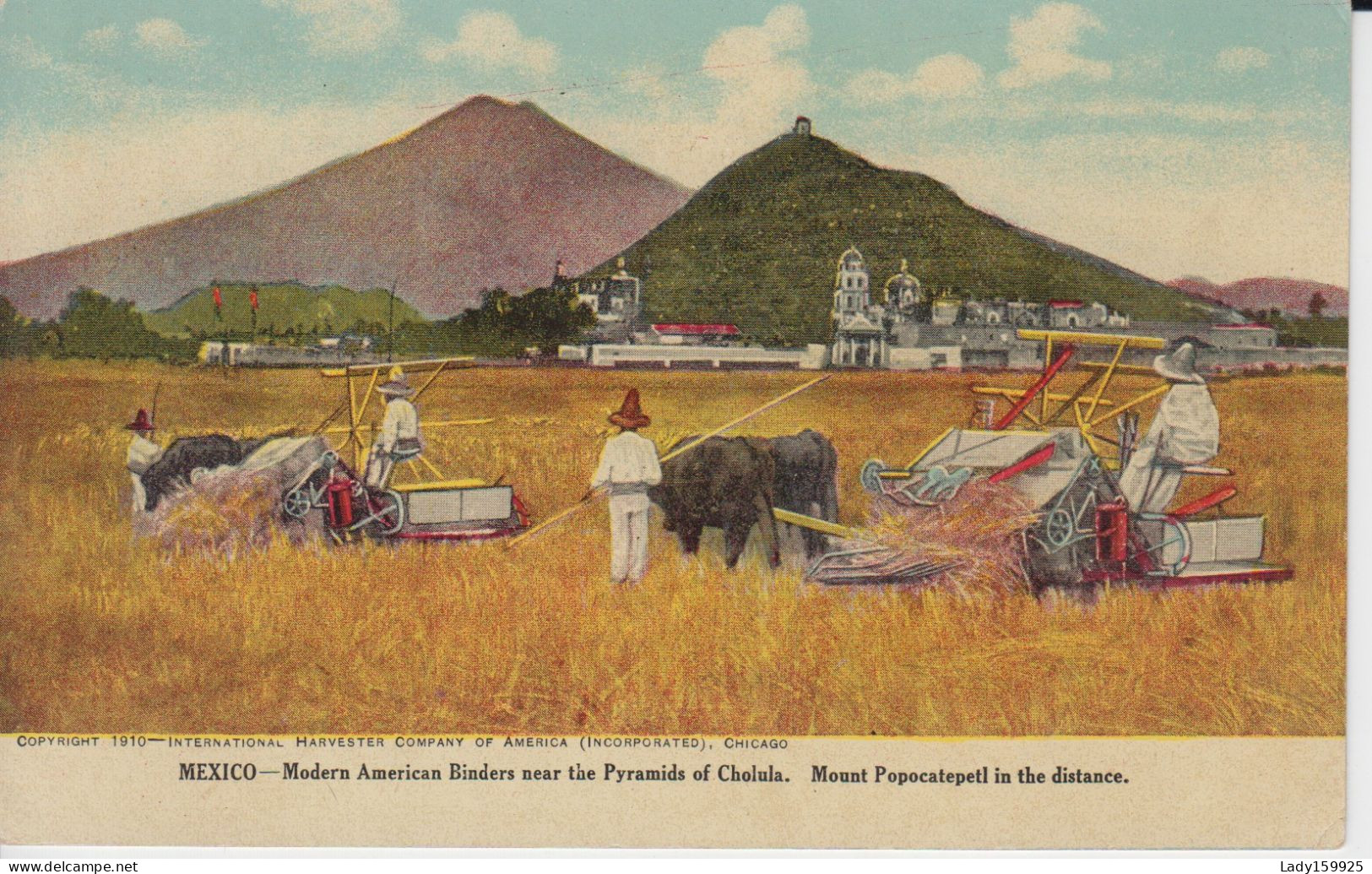 Mexico, Modern American Binders Near The Pyramids Of Cholula. Mount Popocatepelt In The Distance  Village Oxen  Animatio - Culture