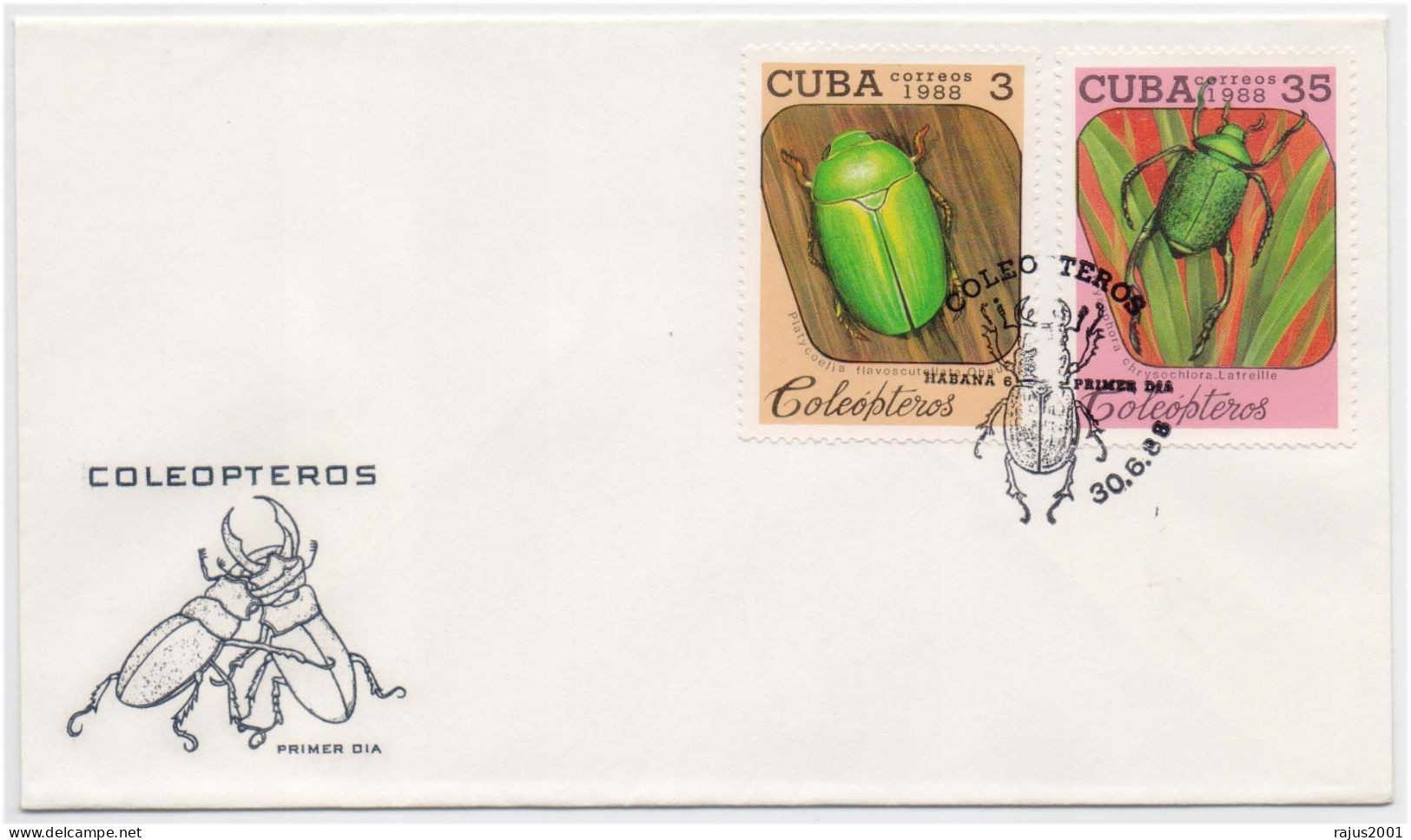 Coleoptera Beetles, Weevils, Insect, Insects, Harmful Insect, Animal, Pictorial Cancellation Cuba FDC - Autres & Non Classés