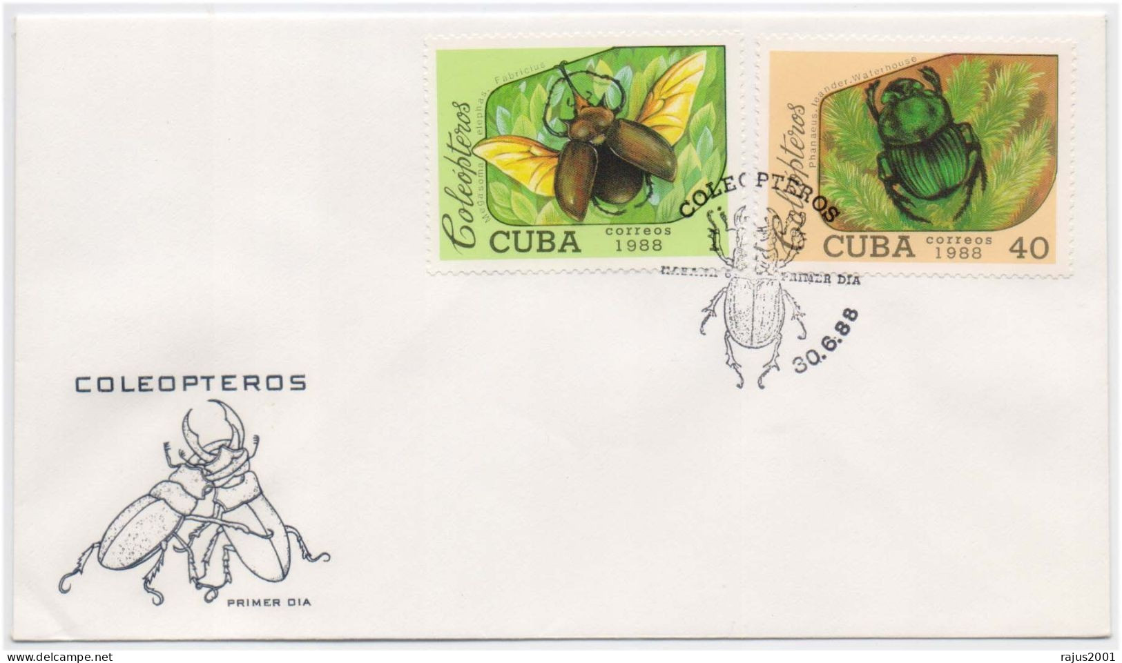 Coleoptera Beetles, Weevils, Insect, Insects, Harmful Insect, Animal, Pictorial Cancellation Cuba FDC - Andere & Zonder Classificatie