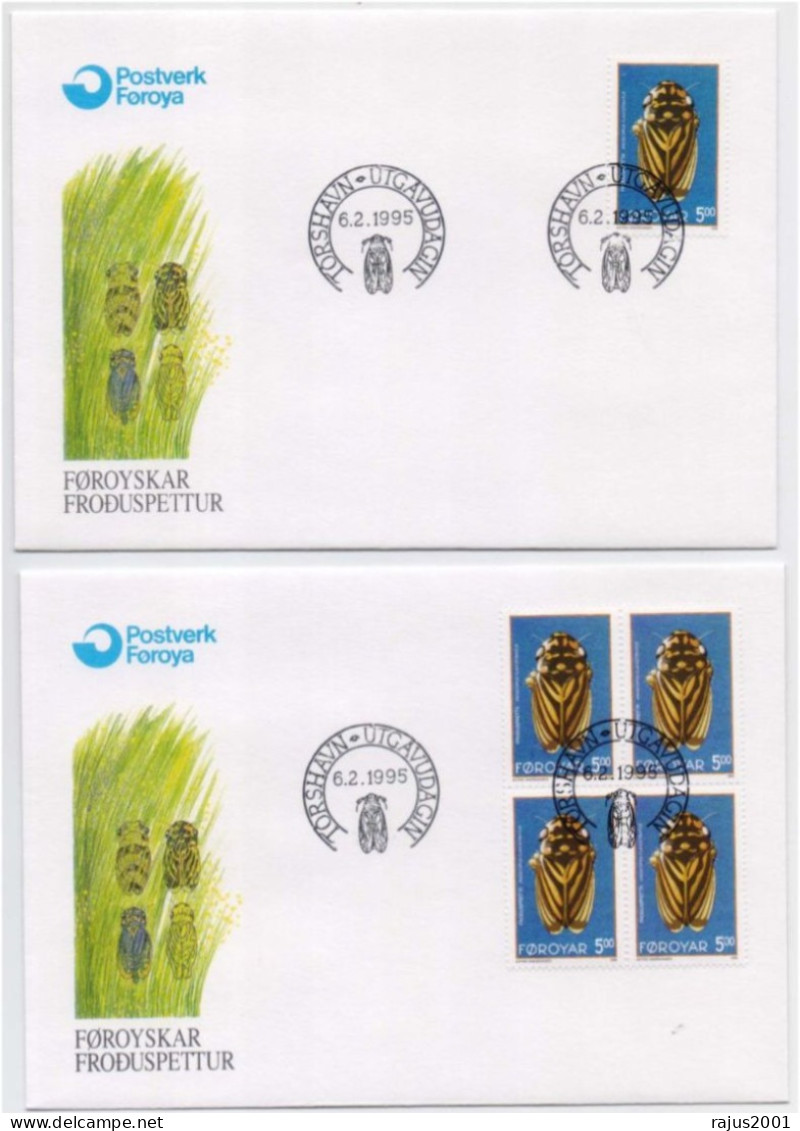 Anoscopus Albifrons Is A Species Of Insect, Insects, Animal, Single & Block Of 4 On FDC Faroe Island 1995 - Sonstige & Ohne Zuordnung