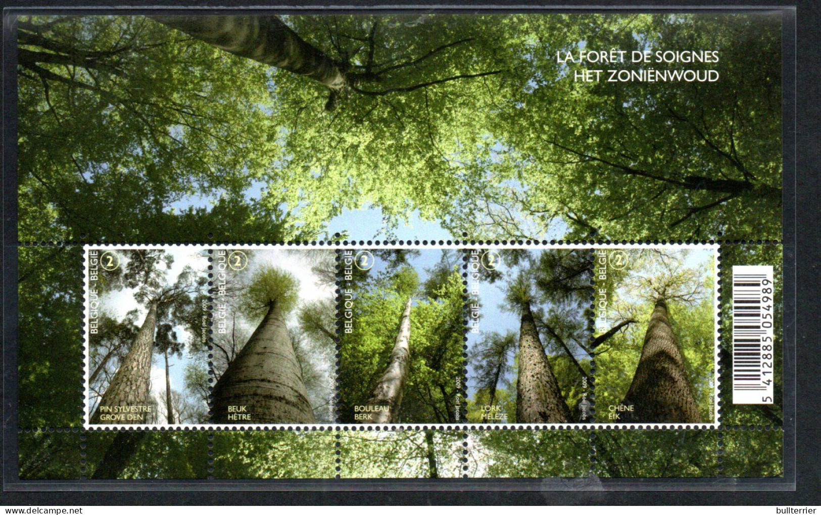 TREES - BELGIUM - 2009 - Sonian Forest Souvenir Sheet MNH , SG £38 - Alberi