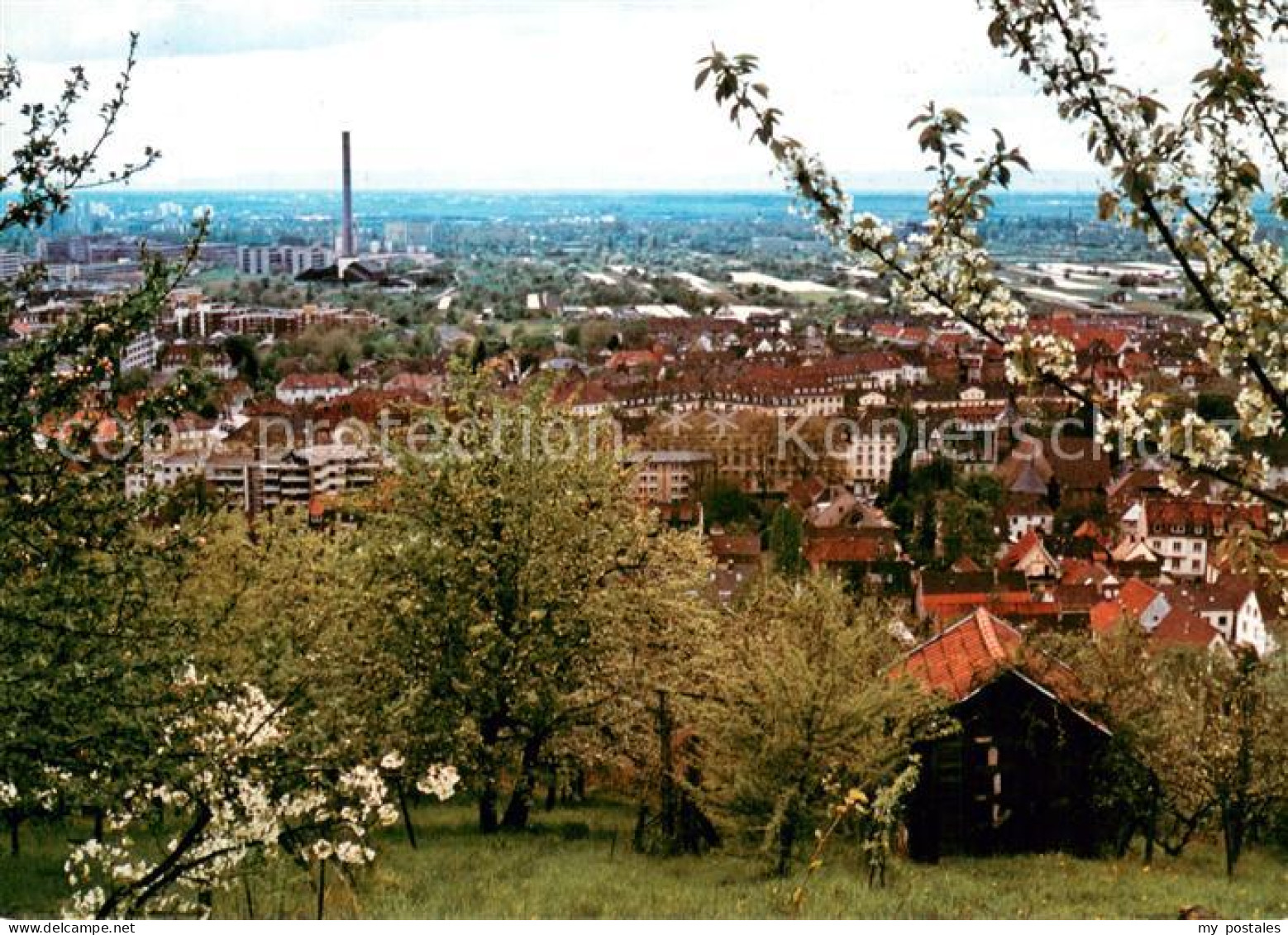 73724392 Handschuhsheim Handschuhsheier Feld Blick Von Der Leimengrube Handschuh - Heidelberg