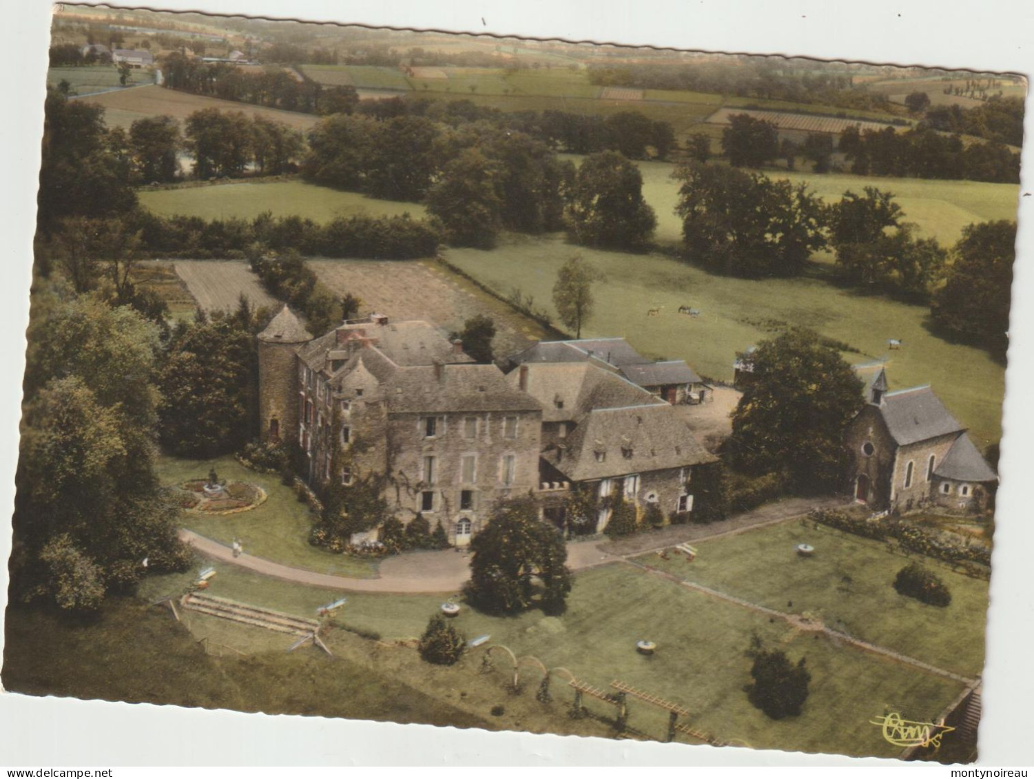 Aveyron : Env. De NAUCELLE : Le  Château  De  Bosc Par Camjac - Other & Unclassified