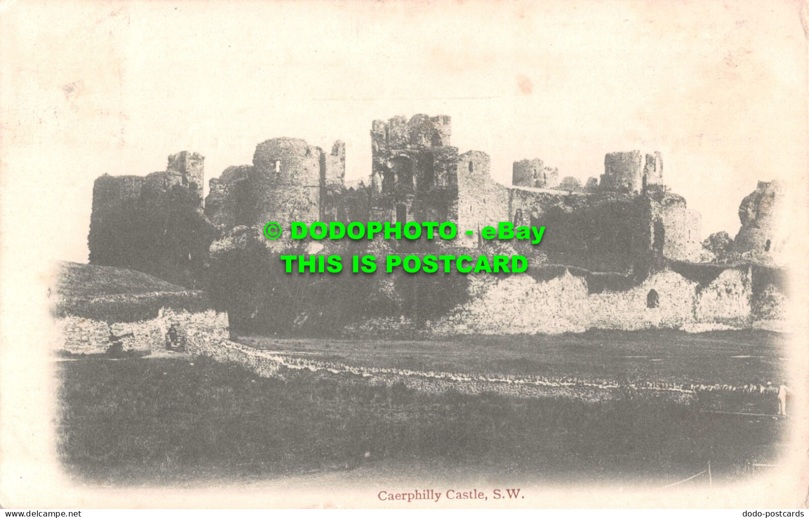 R550029 Caerphilly Castle. S. W - World