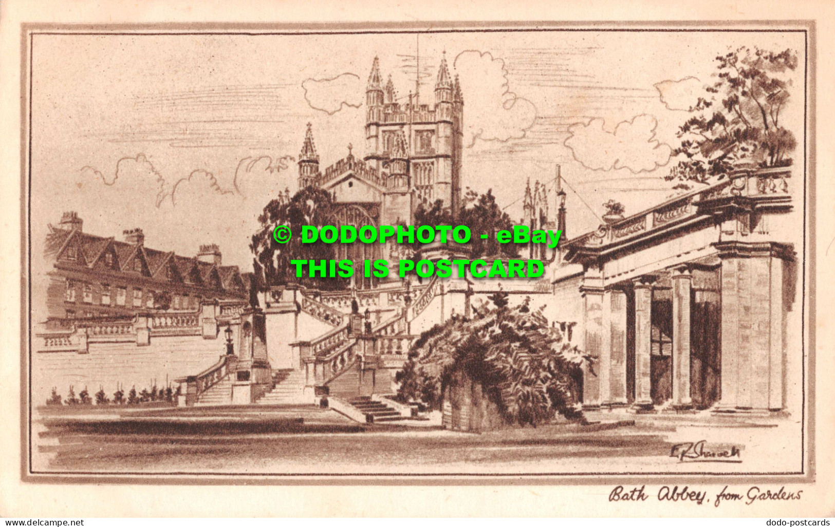 R550056 Bath Abbey From Gardens. Photochrom - World