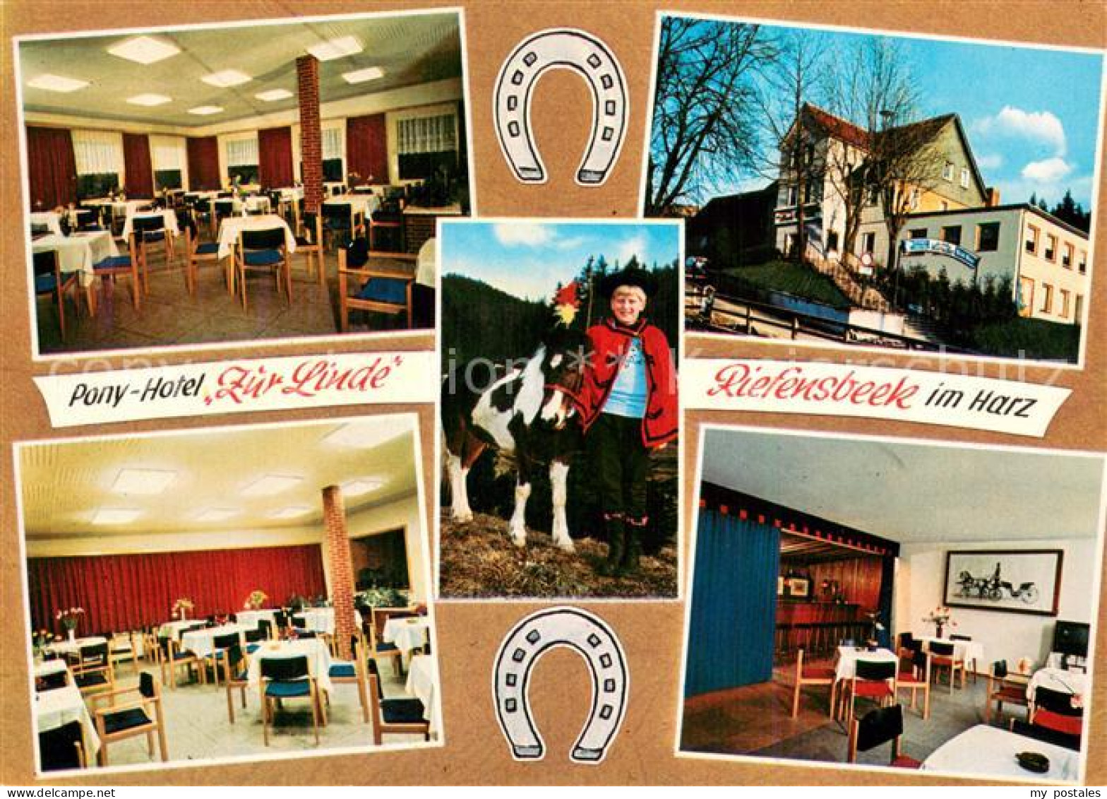 73724348 Riefensbeek-Kamschlacken Pony-Hotel Zur Linde  Riefensbeek-Kamschlacken - Osterode