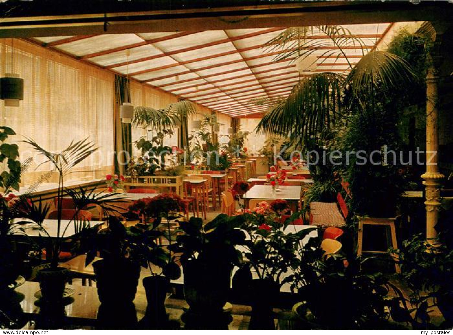 73724312 Neuendettelsau Palmengarten Im Hospiz Neuendettelsau - Neuendettelsau