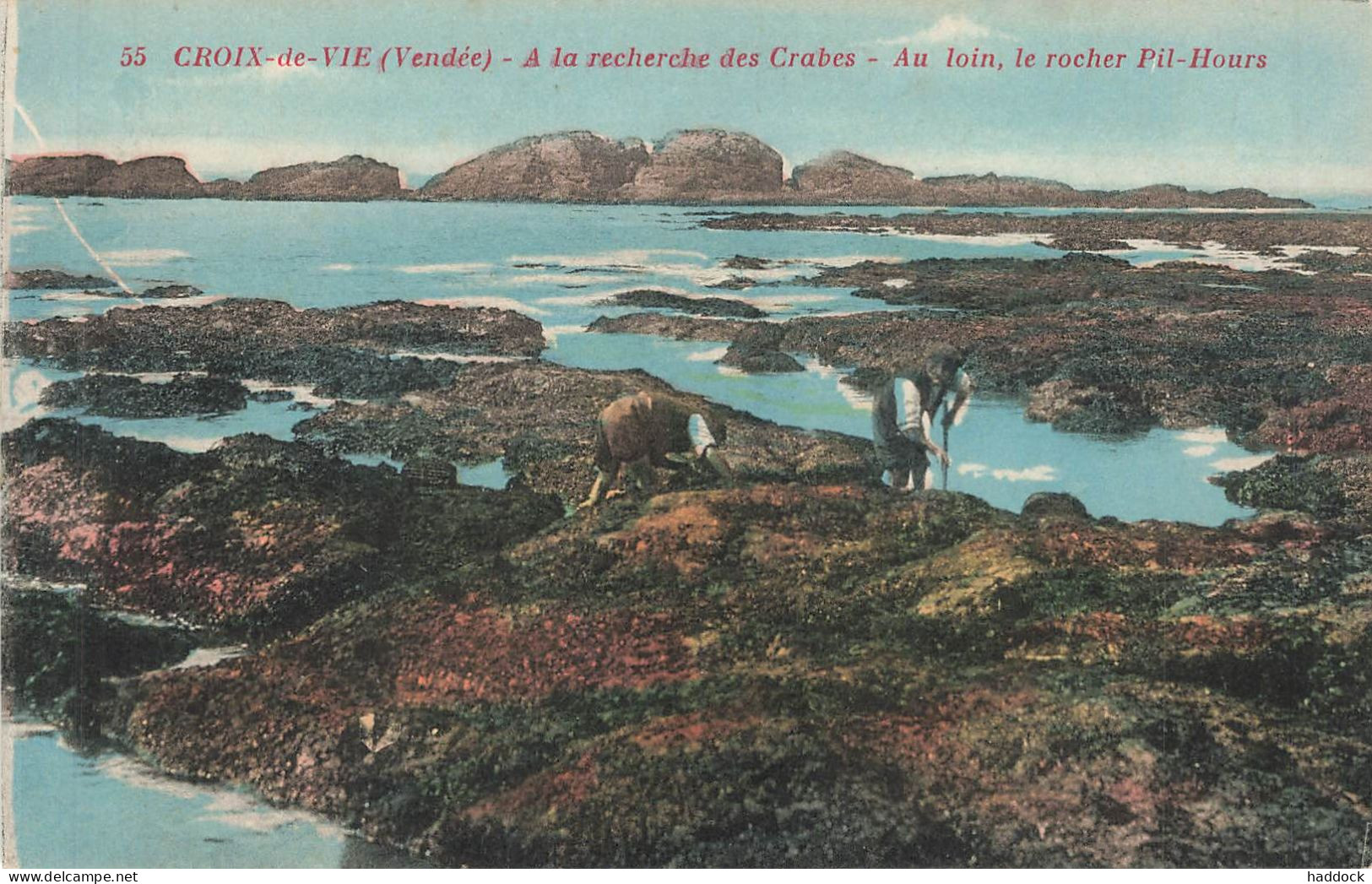 CROIX DE VIE : A LA RECHERCHE DES CRABES - AU LOIN, LE ROCHER PIL HOURS - Saint Gilles Croix De Vie