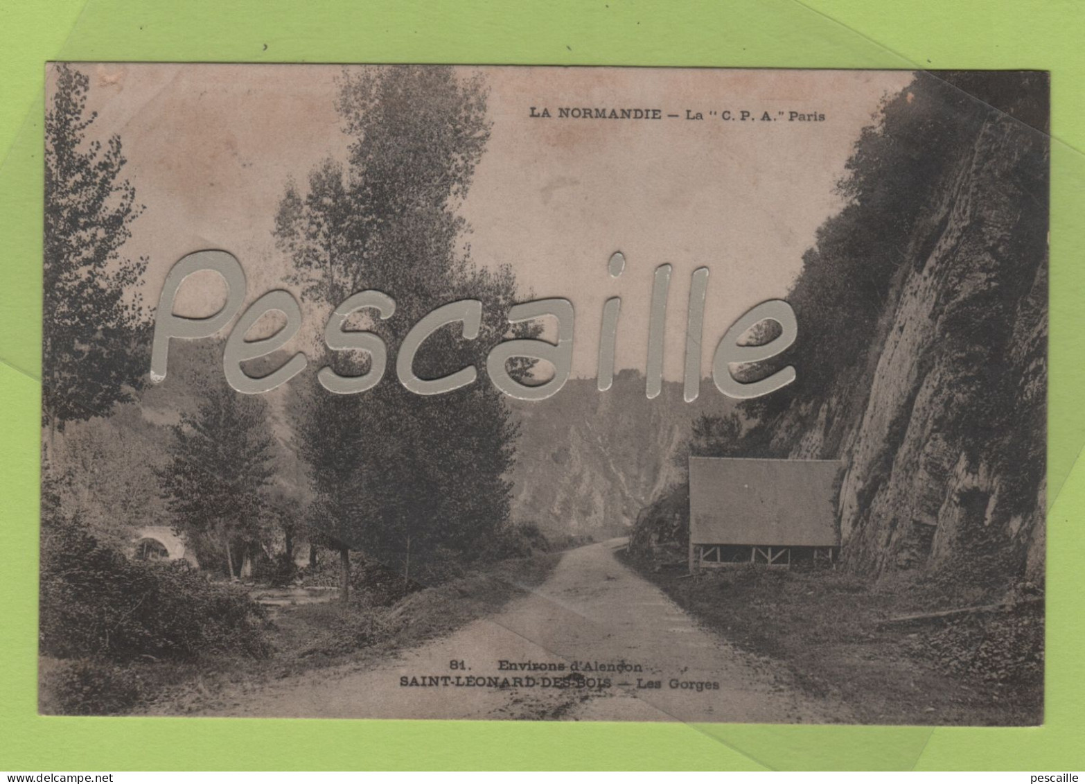 61 ORNE - CP ENVIRONS D'ALENCON - SAINT LEONARD DES BOIS - LES GORGES - LA C.P.A. PARIS N° 81 - Alencon