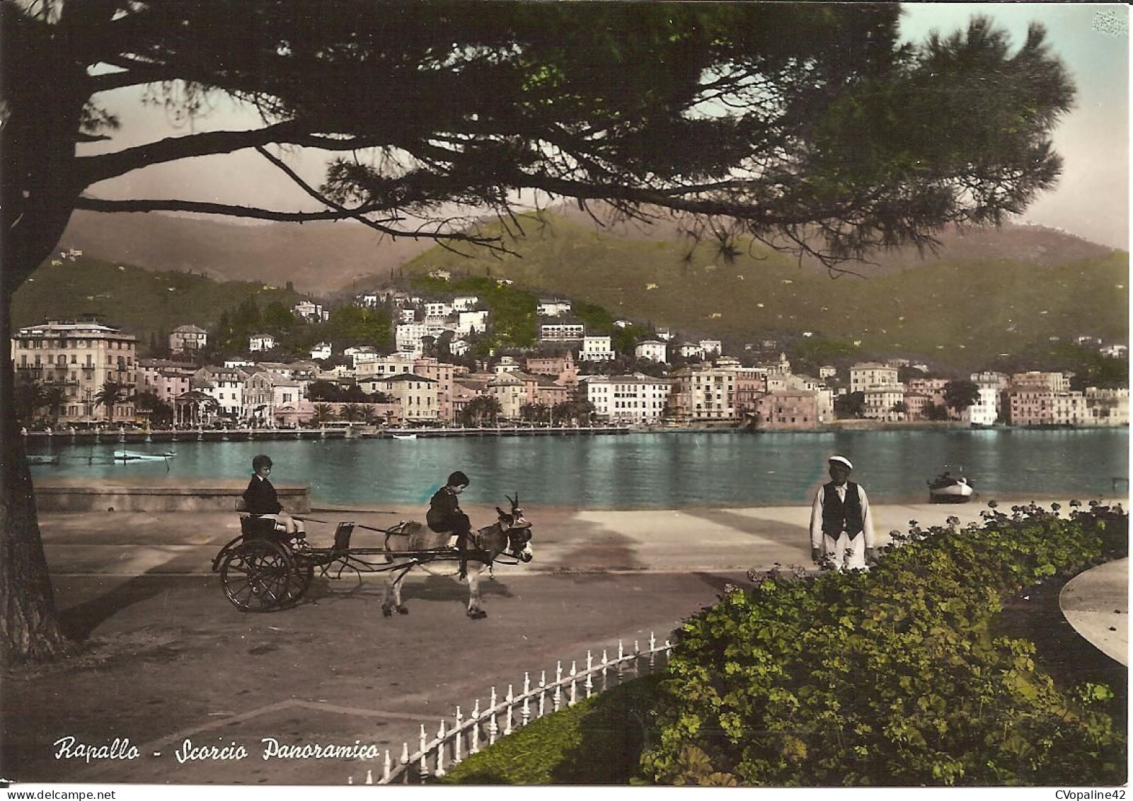 RAPALLO (Liguria) Scorcio Panoramico - Genova (Genoa)