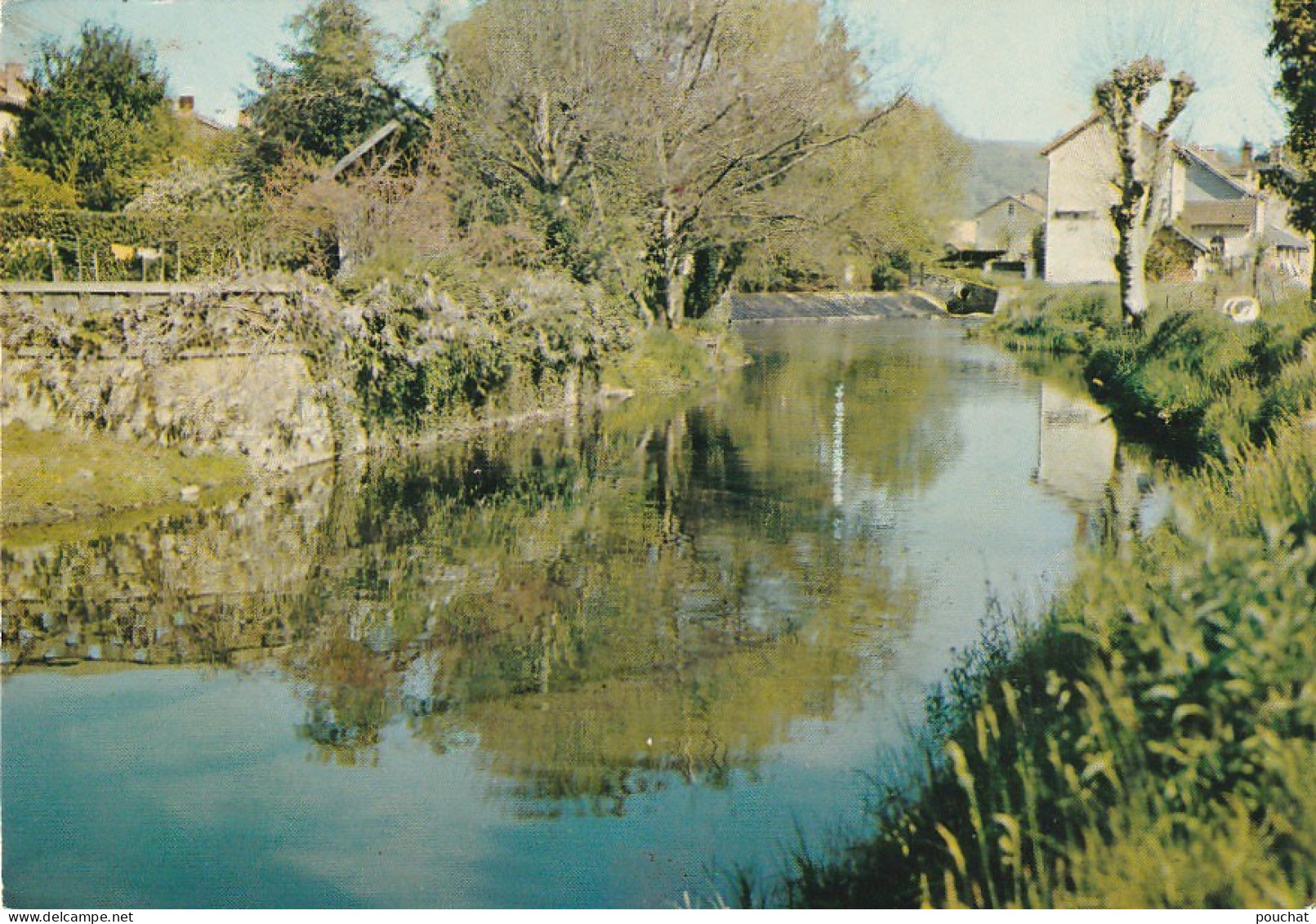 QU 2-(24) SAINT PARDOUX LA RIVIERE -  PROMENADE AUX BORDS DE LA DRONNE - CARTE COULEURS - 2 SCANS - Autres & Non Classés