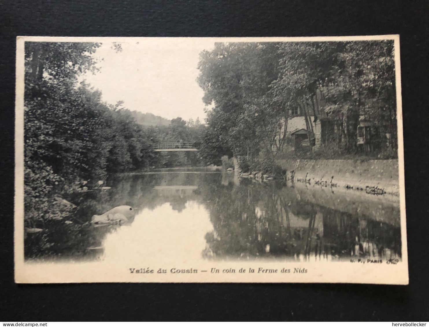 Vallée Du Cousin - Un Coin De La Ferme Des Nids - 89 - Avallon