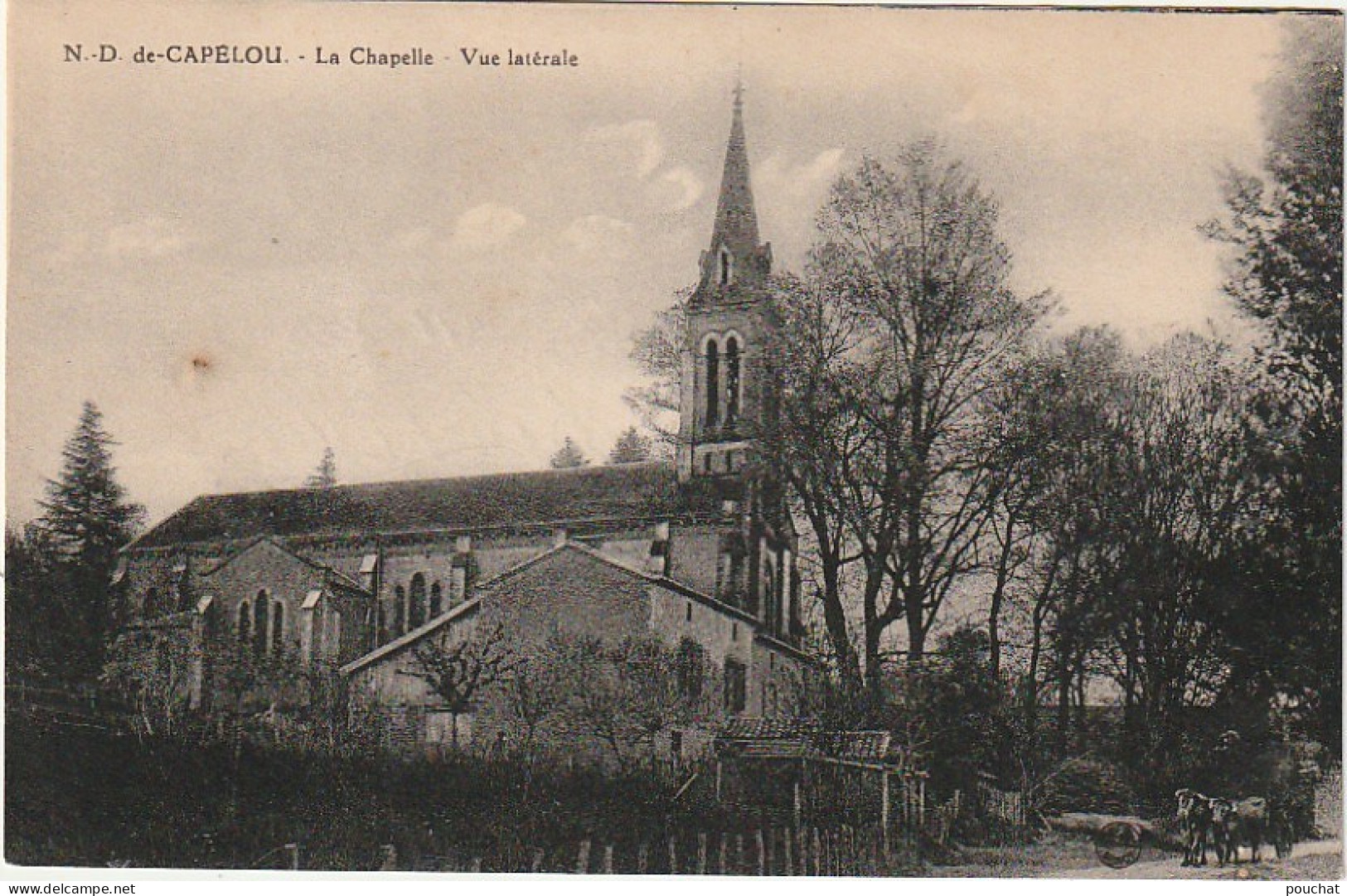 QU 3-(24) NOTRE DAME DE CAPELOU - BELVES - LA CHAPELLE - VUE LATERALE - PAYSAN AVEC SES BOEUFS - 2 SCANS - Autres & Non Classés